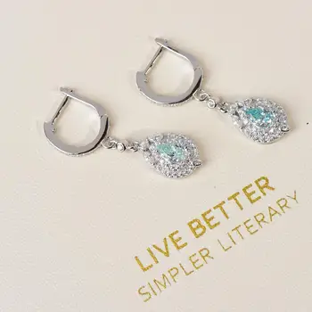 

Silver 925 Brilliant Cut 0.5 ct D Color Blue Moissanite Screw Earrings Diamond Test Past Cute Water Drop Tear Gemstone Earrings