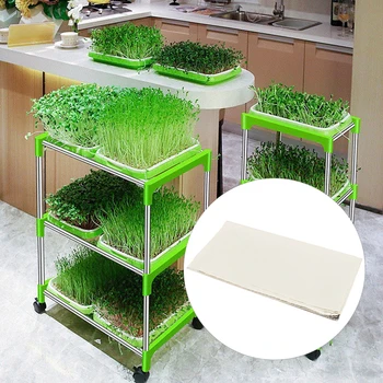 

100PCS Garden Nursery Growing Soilless Cultivation Nursery Paper For Tray Pots Sprout Plate Seedling Germination Vegetable Paper