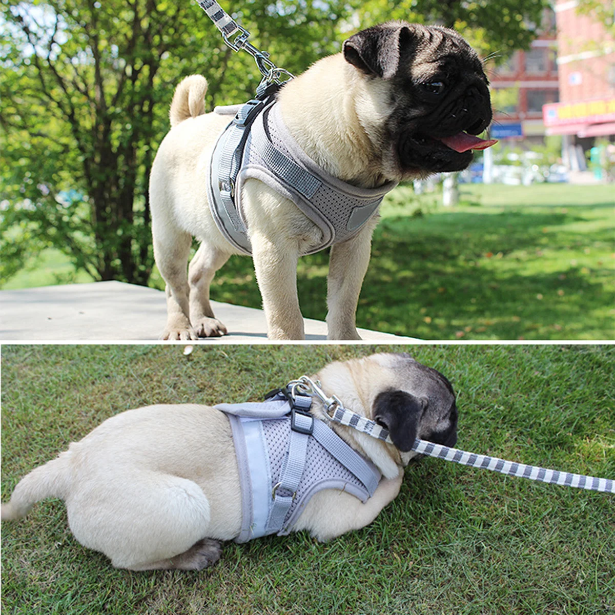 Pet Dog дышащая прогулочная шлейка прогулочный жилет ремень для маленький щенок со светоотражающими поводок для прогулок наборы