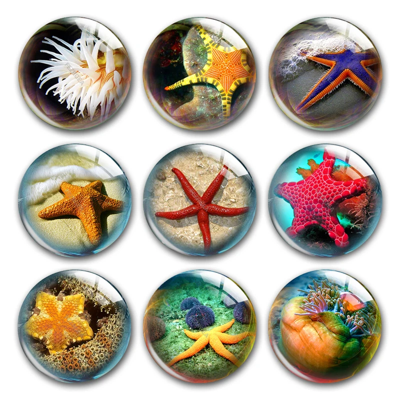 未标题  800x800-2