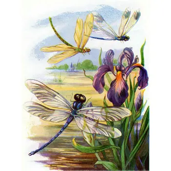 

5D DIY Diamond Painting dragonfly diamond Embroidery Full Square Diamond Cross Stitch flower Rhinestone Mosaic Painting gift