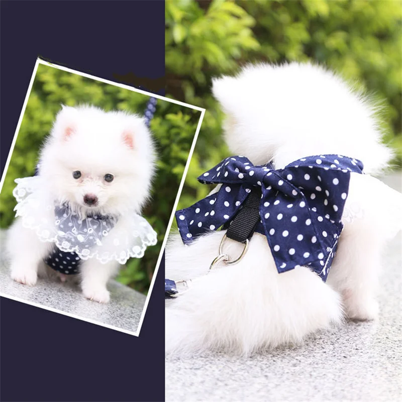 Adjustable Dog Harness Set with Leash - PeticaDeals