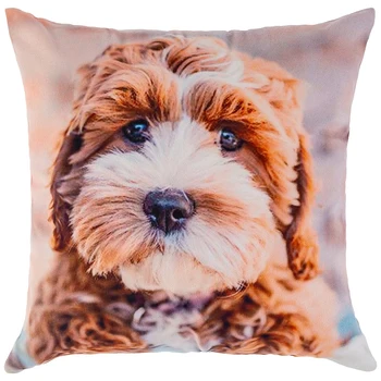 

Pillowcase 35 * 35 cm, 100% P / E, Fabric, Print