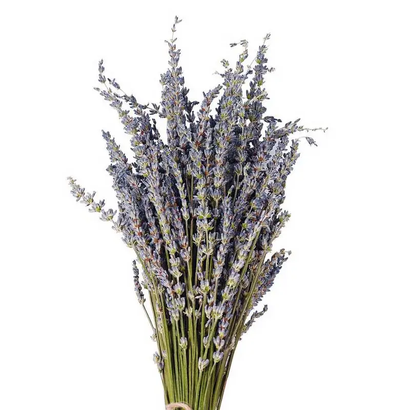 One Bunches Romantic Provence Natural DIY Lavender Flower Dried Flowers Home Office Banquet Wedding Decoration