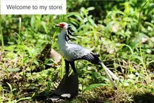  pvc  figure model toy  Secretarybird  bird 