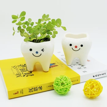 

Creative Tooth Shape Succulent Ceramic Bonsai Modern Style Balcony Flower Pot Household and Office Desktop Decoration Mini Plant