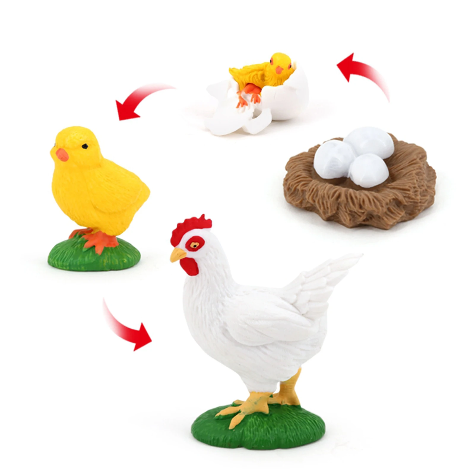 Bajo costo Modelo de ciclo de vida para niños, naturaleza, gallina, insecto, pollito, juguetes cognitivos para educación preescolar, juego de rol, fiesta temática Myw5eB6qmJ1