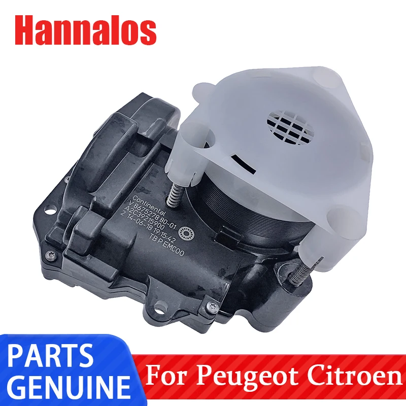 V862418980163672ThrottleBodyAssemblyForPeugeot207308408508