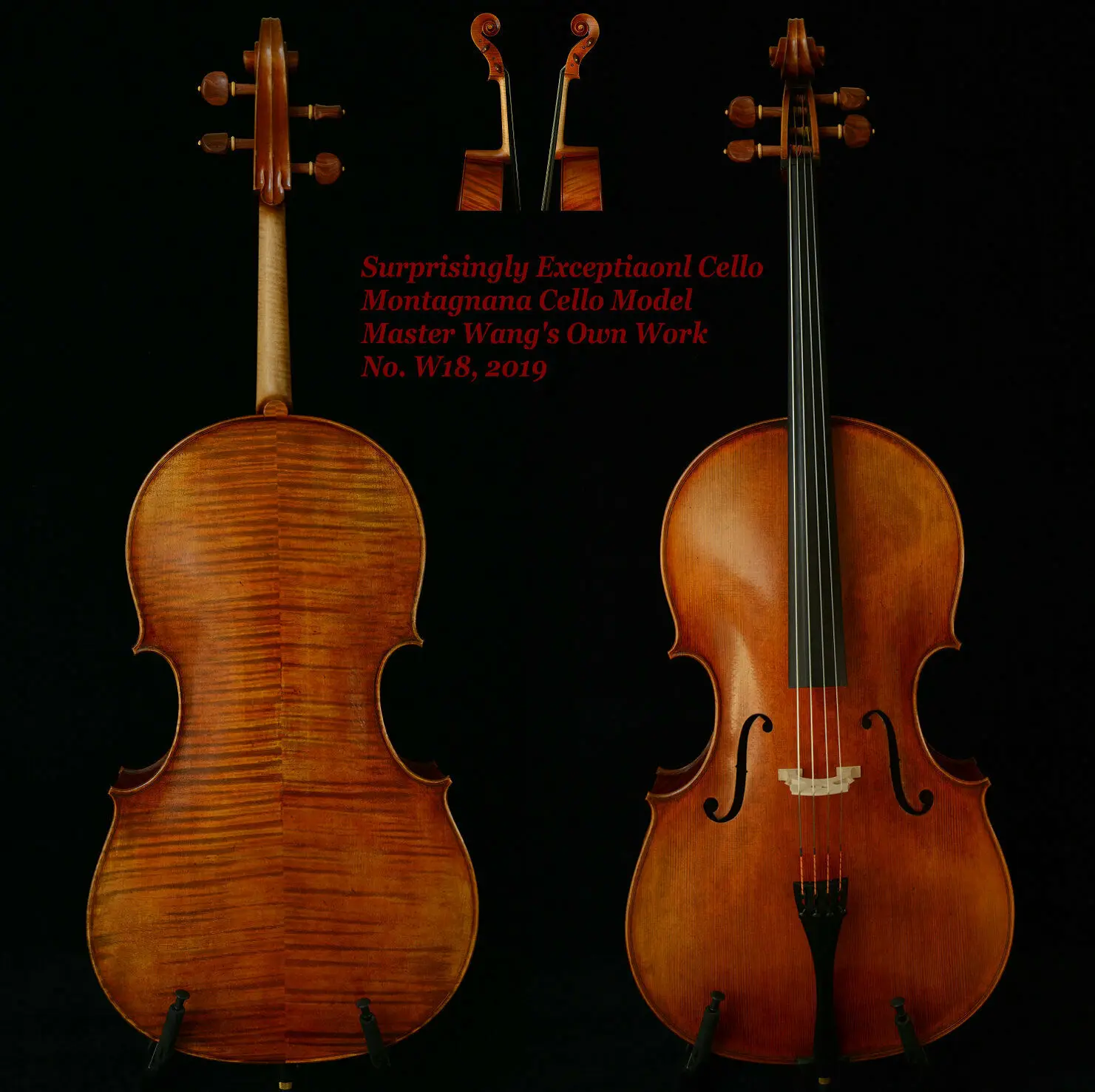 Настоящая фотография удивительно исключительная Виолончель исключительный