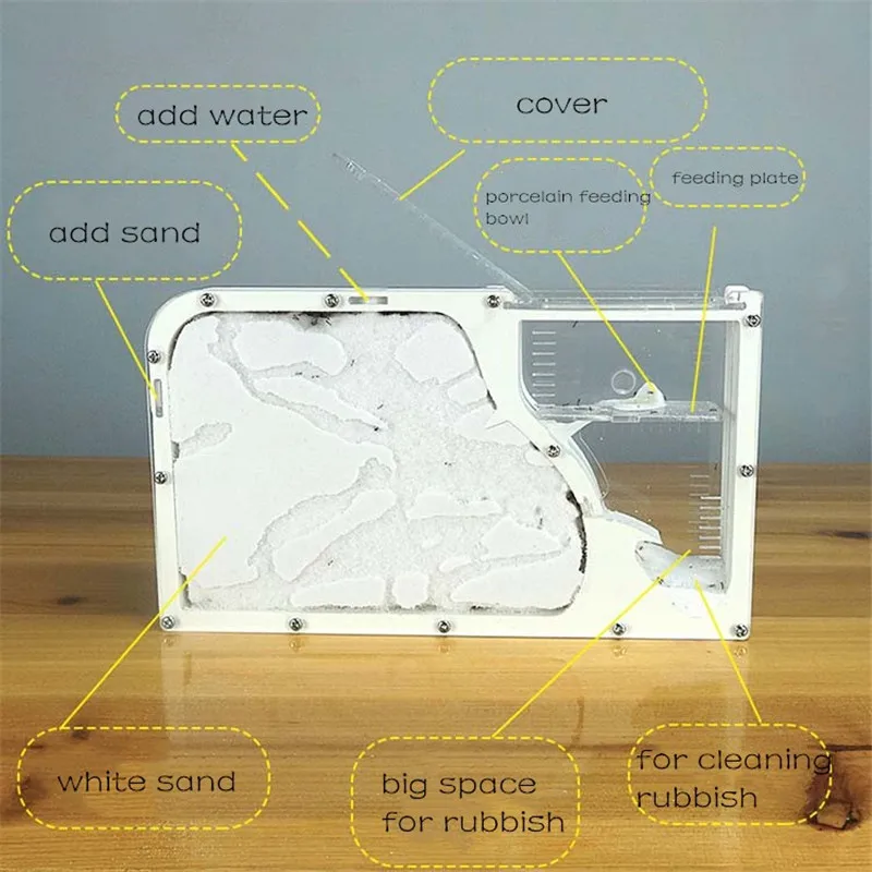 Ant Castle Ecological Insect Box