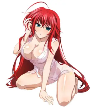 

10cm Rias High School DxD Die-Cut Vinyl Decal Sticker JDM Anime Manga Laptop Car Wall