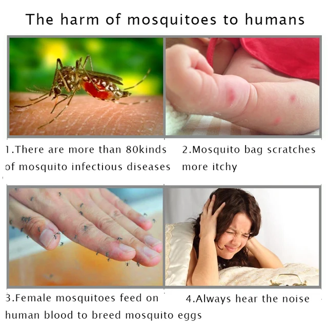 100 Db/10 Doboz Szúnyogtaszító Szúnyoggyilkos Kártevő Ürülék Füst Háztartás Szúnyogok Légygyilkos Rovarok Kártevőirtás - Image 4