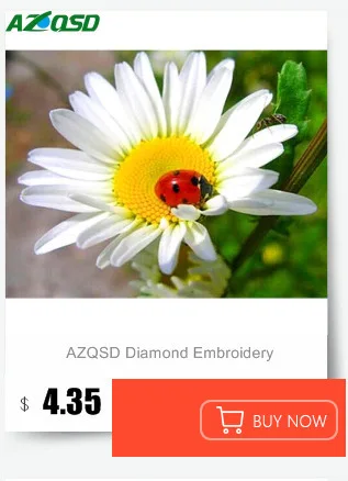 AZQSD Алмазная Вышивка Полный дисплей цветок алмазная живопись цветочный подарок 5d Вышивка крестом домашний Декор Картина Стразы