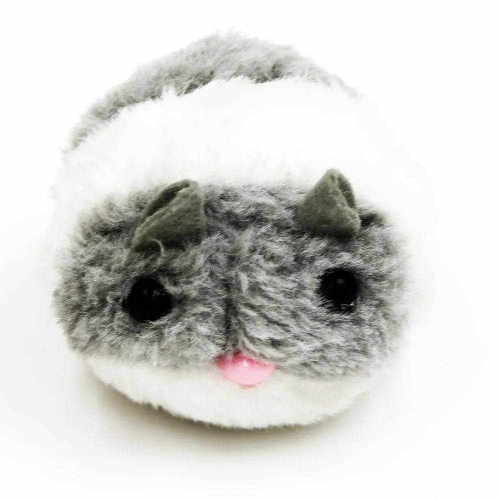 2724643862_1756254533