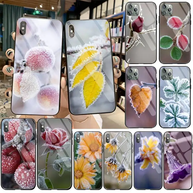Чехол для телефона из закаленного стекла iPhone 11 Pro XR XS MAX 8X7 6S 6 Plus SE 2020 | Мобильные