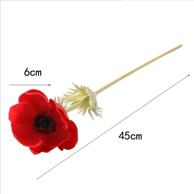 11371447773_846930742