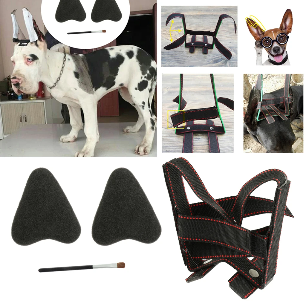 Dog Puppy Ear Care Standing Tool Suit For Samoyed, Great Dane Ear Correcting