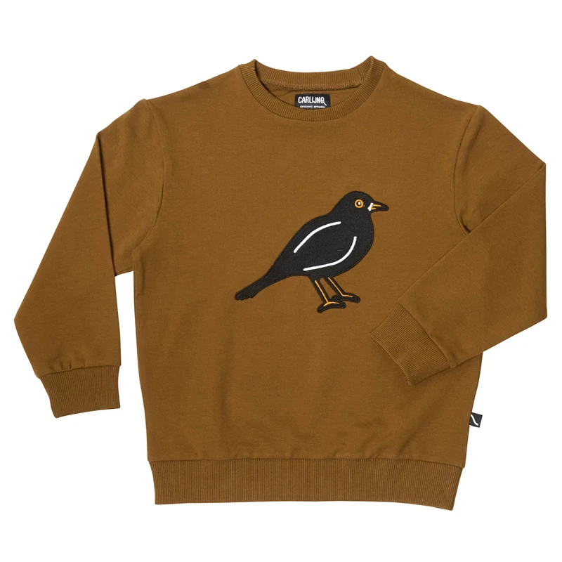 CarlijnQ/свитер для маленьких мальчиков и девочек; штаны-шаровары; брендовая модная одежда для детей; сезон осень-зима; толстовки для малышей; топы для детей - Цвет: as picture