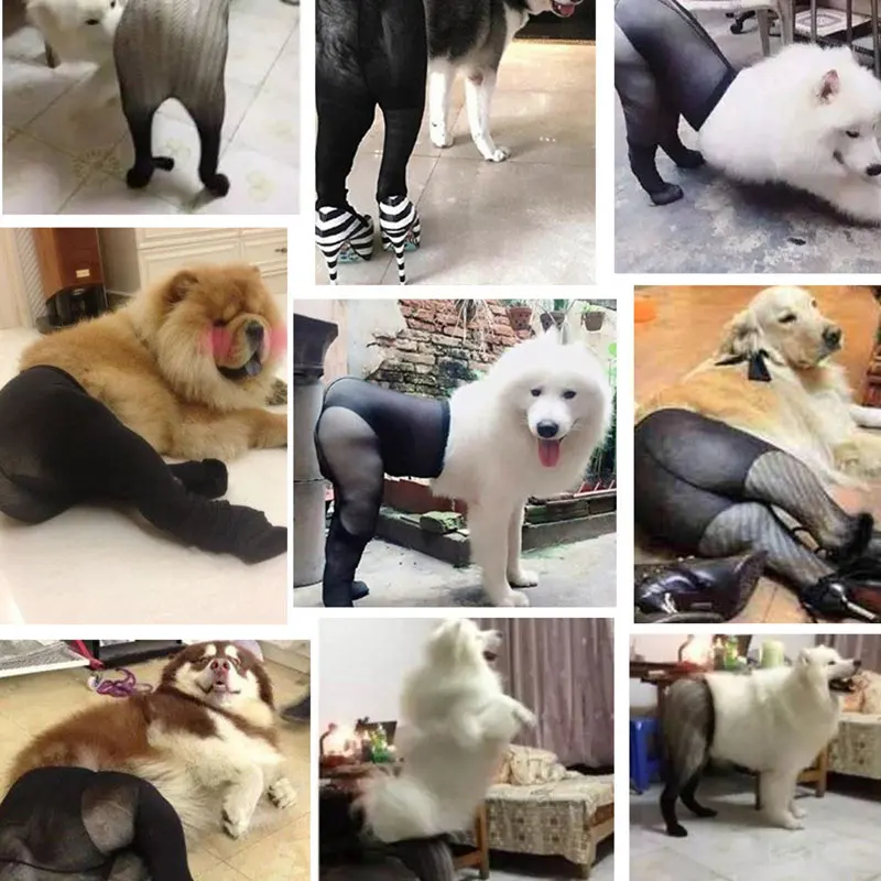 Шелковые чулки для фотосессии с изображением забавной собаки, реквизит для черных бедер, имитирующий костюм