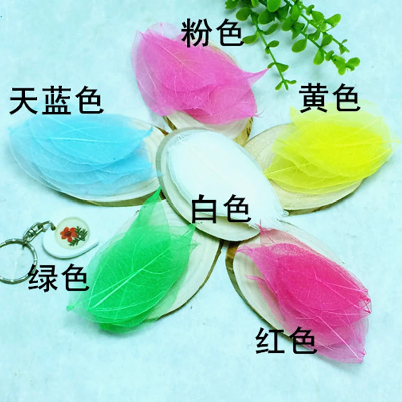 Dried flowers02