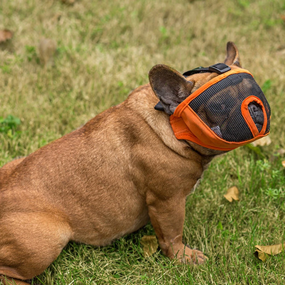 Mesh Adjustable Breathable Training Durable Pet Supplies Protect Secure Anti Barking Mask Anti Bite Dog Muzzle Short Snout