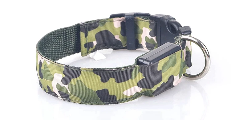 dog collar (20)