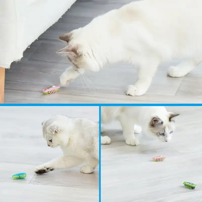 robot bug cat toy