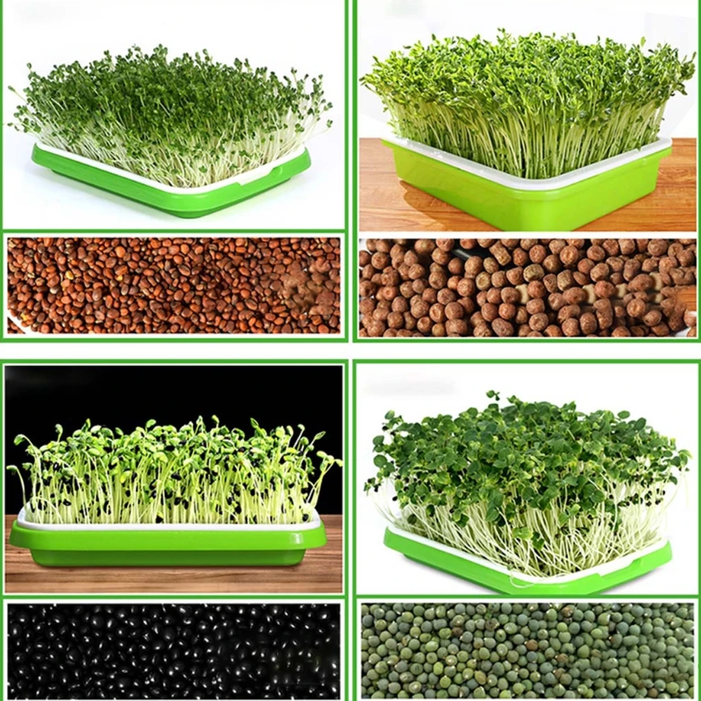 Seed Starter Tray Seedling Tray Hydroponic Plant Pots Seed Sprouter Tray BPA Free PP Soil-Free Large Capacity Healthy with Cover Seedling Sprout Plate Hydroponic Plant Pots