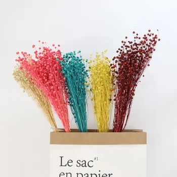

Dried Flower Bouquet Home Decoration Flower Material Small Star Fruit Flax Rich Beans
