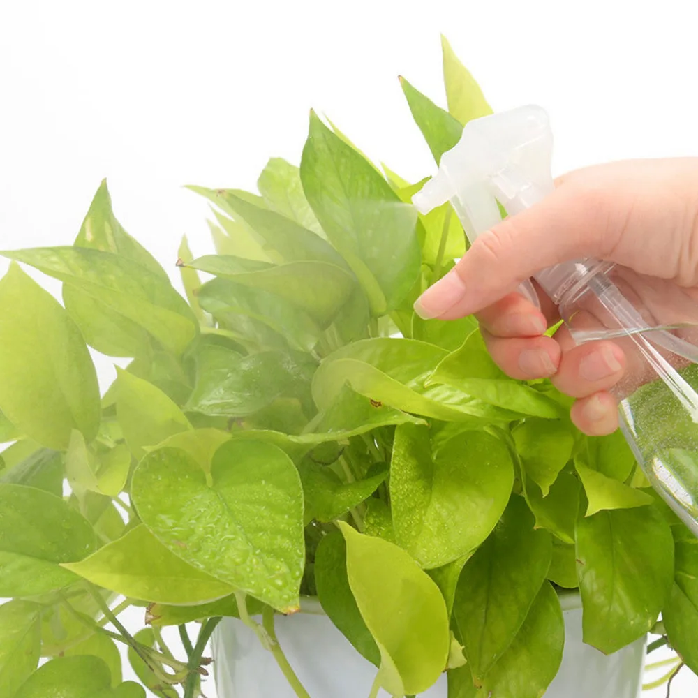 15 - YXY200326227_0421541702116914993