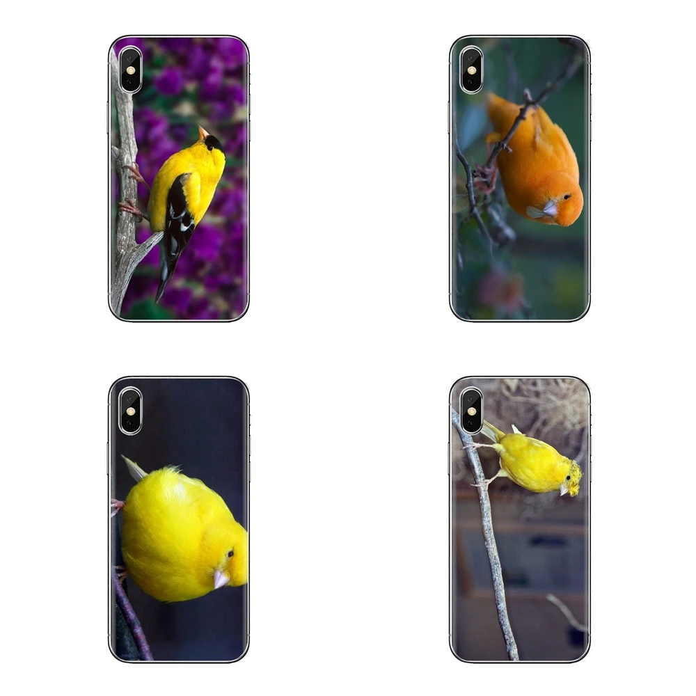 Mosaic yellow Types Canary Birds Silicone Cases Covers For Samsung Galaxy J1 J2 J3 J4 J5 J6 J7 J8 Plus 2018 Prime 2015 2016 2017 |