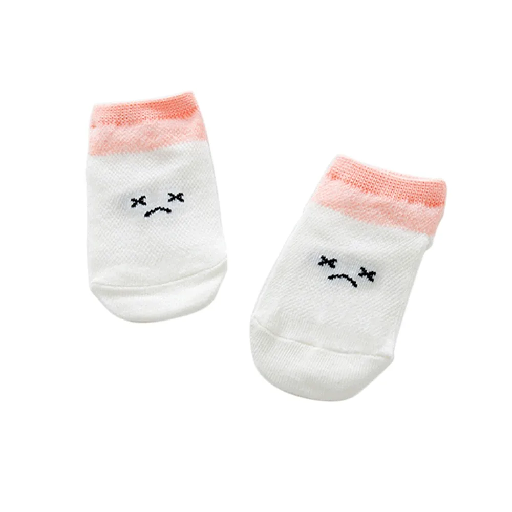 XL1695P (2)