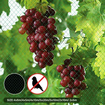 

2020 Anti Bird Net Pond Netting Protection Garden Farm Crop Plant Crops Fruit Tree Vegetable Flower Garden Mesh Protect