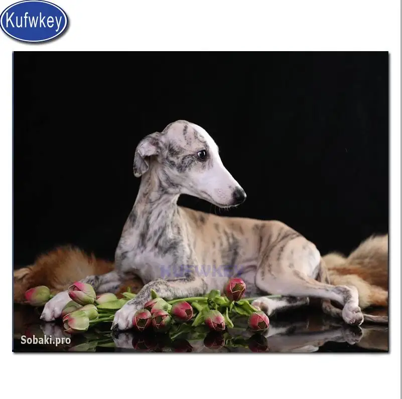 2 5d diy алмазное искусство Whippet живопись с изображением собак Настенный декор полная дрель квадратная Вышивка милые домашние собаки вышивка крестиком Серия животных подарок - Цвет: 2