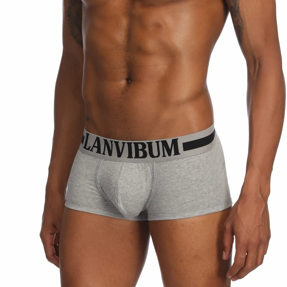 Underwear Men Boxer Shorts panties Boxershorts Trunks Comfortable Cotton Mens Casual Home Panties underpants cueca masculina new