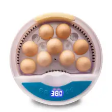 Новейший фермерский инкубатор Брудер машина инкубаторы для яиц