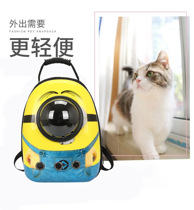 10629109010_345777210