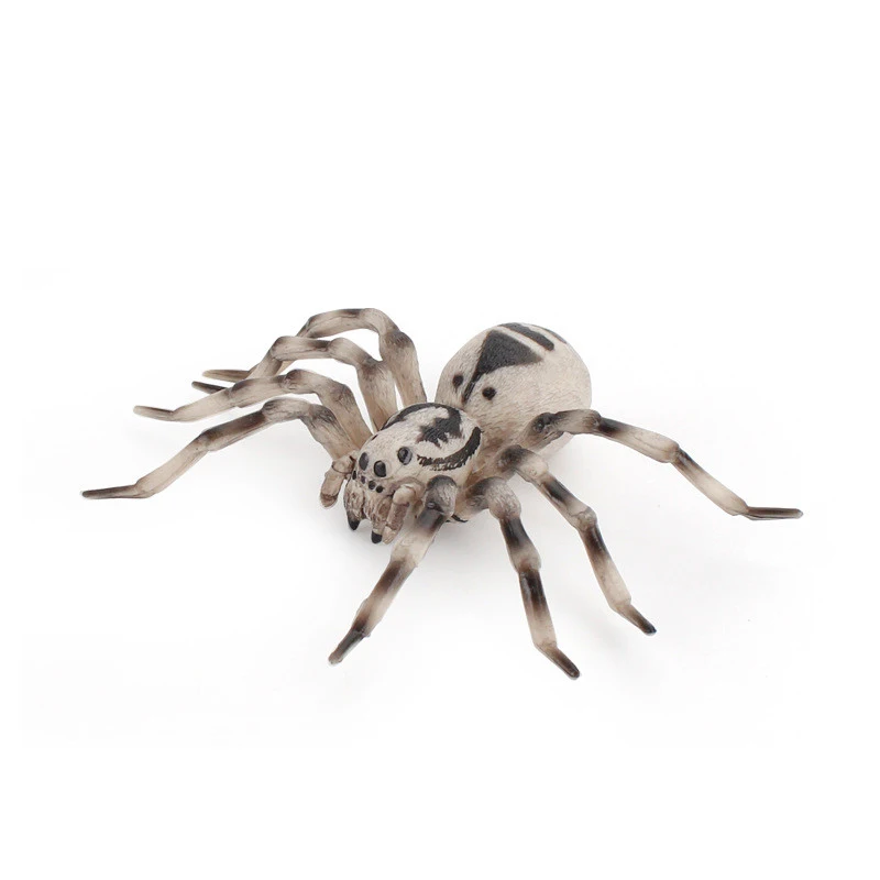 Simulation Animals Insect Solid Model Tarantula Black Spider Halloween Tricky Prank Scary Funny Action Figures Educational Toys