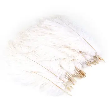 

New 50PCS/SET 25-30CM Long Ostrich Feathers DIY Wedding Party Decorative Celebration Feathers For Clothing Accessories