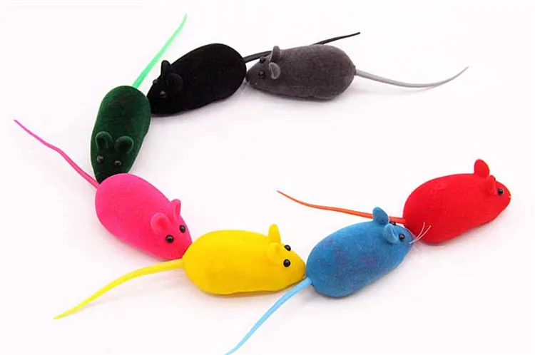 8704425661_559886474