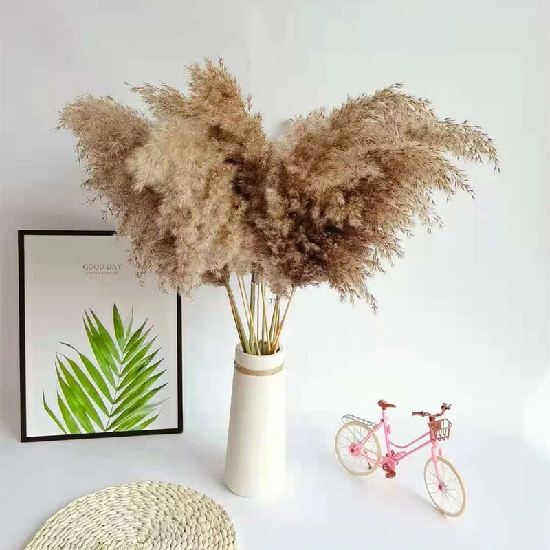 10Pcs Pampas Gras Land Deco Gedroogde Planten Natuurlijke Droge Bloem Goedkope Goederen Middelpunt Decorativegazebos Homedecoration|Kunstmatige Gedroogde Bloemen| - AliExpress