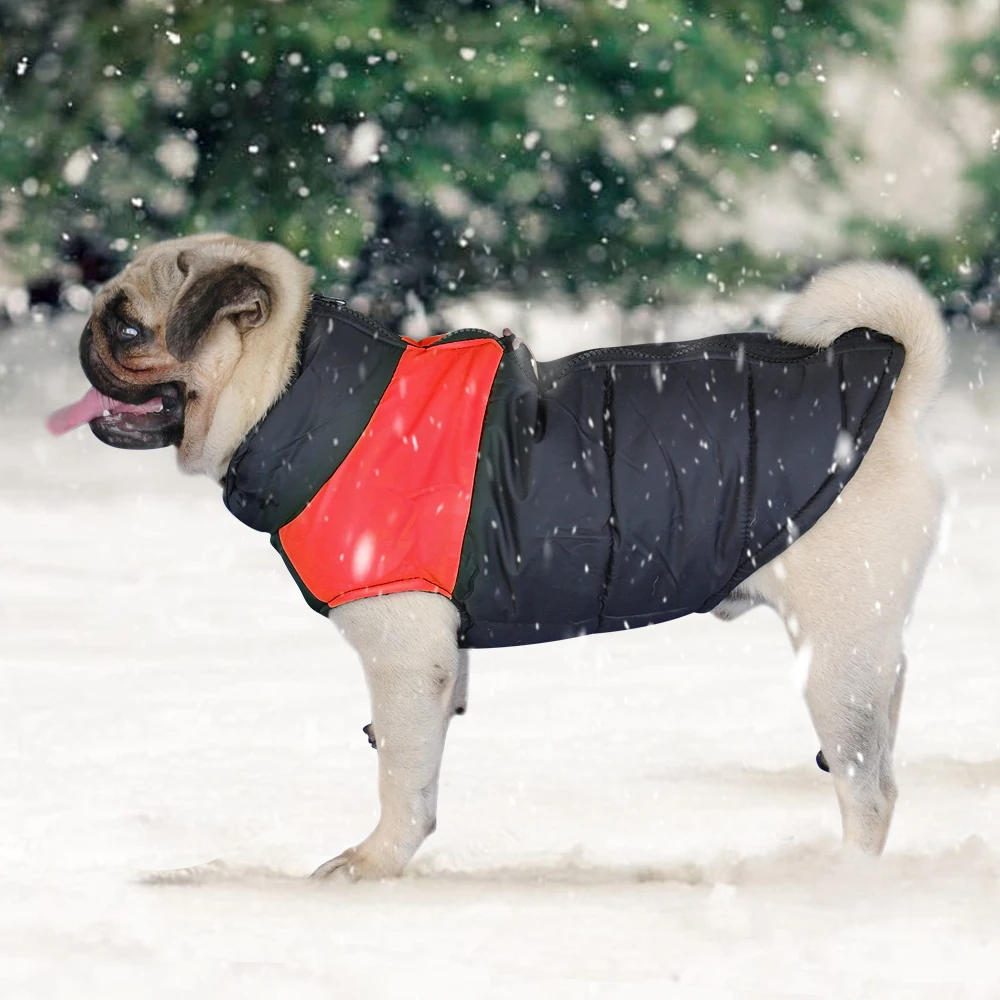 Супер теплая одежда для собак, французская одежда для бульдога чихуахуа, одежда для домашних животных, маленькая, средняя, большая куртка для собаки, пальто, водонепроницаемый жилет, костюм S-7XL