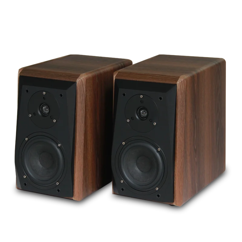 KYYSLB F38 10~200W 4 Ohm 5 Inch Fever Hifi Passive