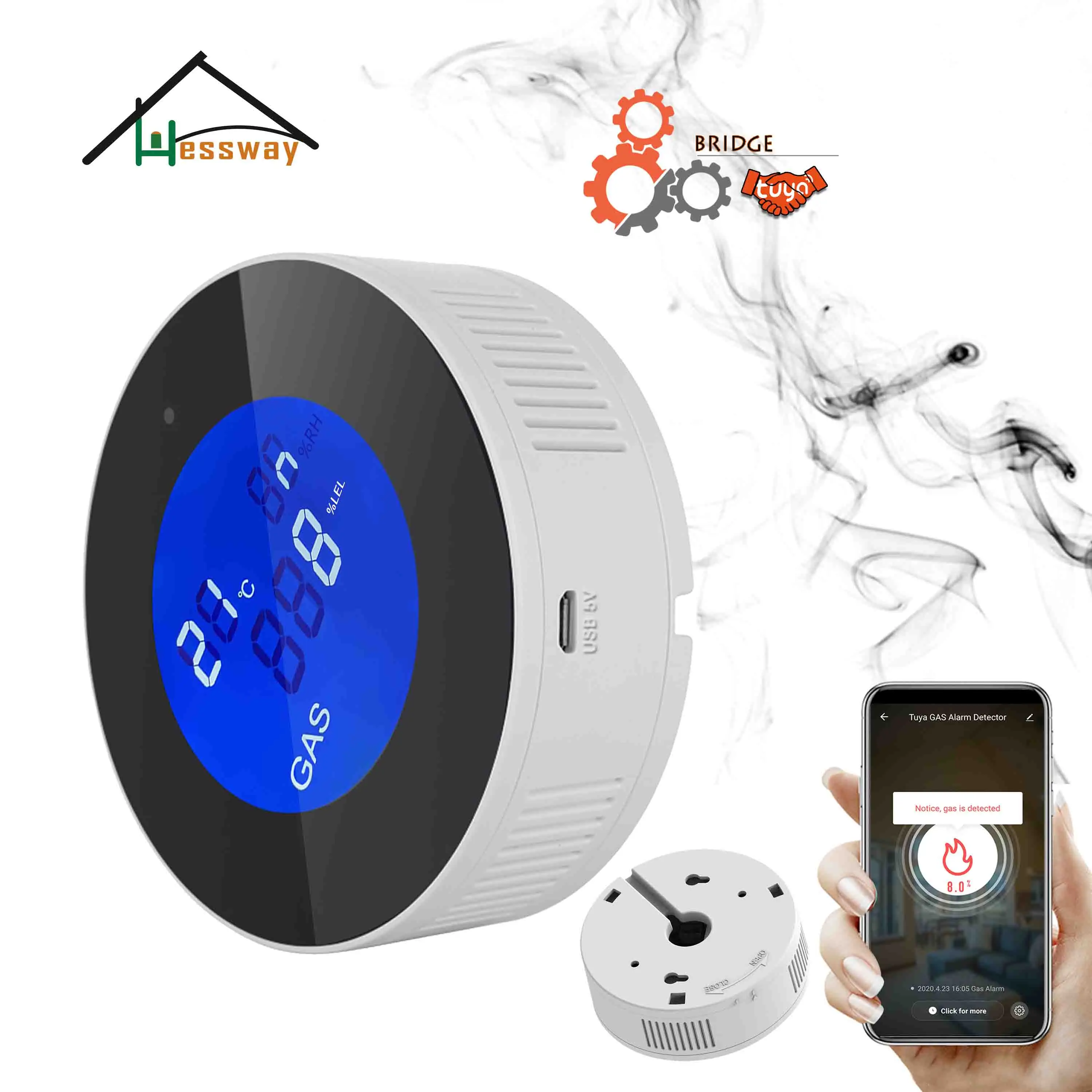 

HESSWAY Protect family safety leak natural gas detector alarm for Linkage solenoid valve tuya smart devices switch