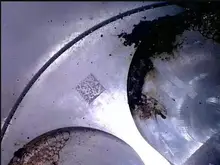 Endoscopio de doble lente 1080P, endoscopio inalámbrico con 8 luces LED, cámara de inspección con zoom, Snake, para Android y tableta iOS