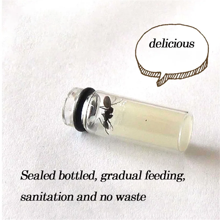 Ant Castle-Taller de hormigas para comida especial, práctico y Simple, alta nutrición, no es fácil de moldear, 3 unids/lote