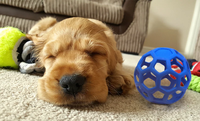 8697199900_1507646927