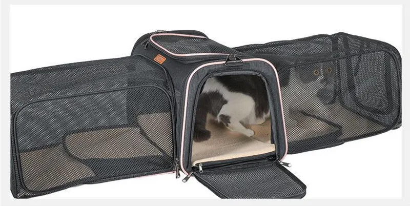 Дизайн Двойные открытые крылья pet out сумка памяти металлическое расширение Портативная сумка для кошек pet сумка sj-1-QS-028