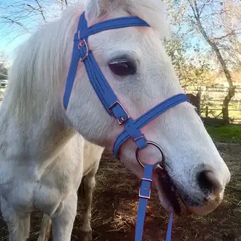 

Horse Head Collar Thickened Adjustable Safety Halter Horse Riding Belt Training Rope Equestrian Equipment