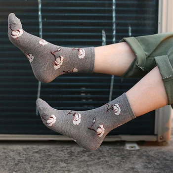 

Women cotton Korean Animal/Cactus Socks Funny Socks Kawaii